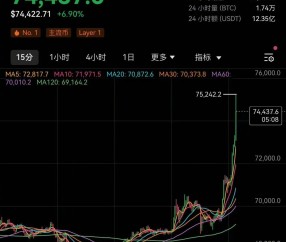 关于比特币遭遇大幅下滑超235%，投资者恐慌性抛售的信息