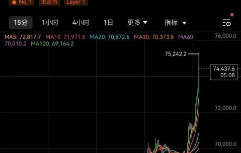 关于比特币遭遇大幅下滑超235%，投资者恐慌性抛售的信息