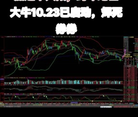 九游娱乐-OKX飙升势惊人，一夜飙升491%，加密市场沸腾，引爆行情