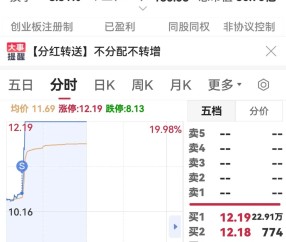 九游娱乐-TON遭遇大幅下滑超171%，投资者恐慌性抛售的简单介绍
