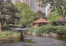 AVAX上扬势惊人，一夜飙升28.61%，加密市场沸腾的简单介绍