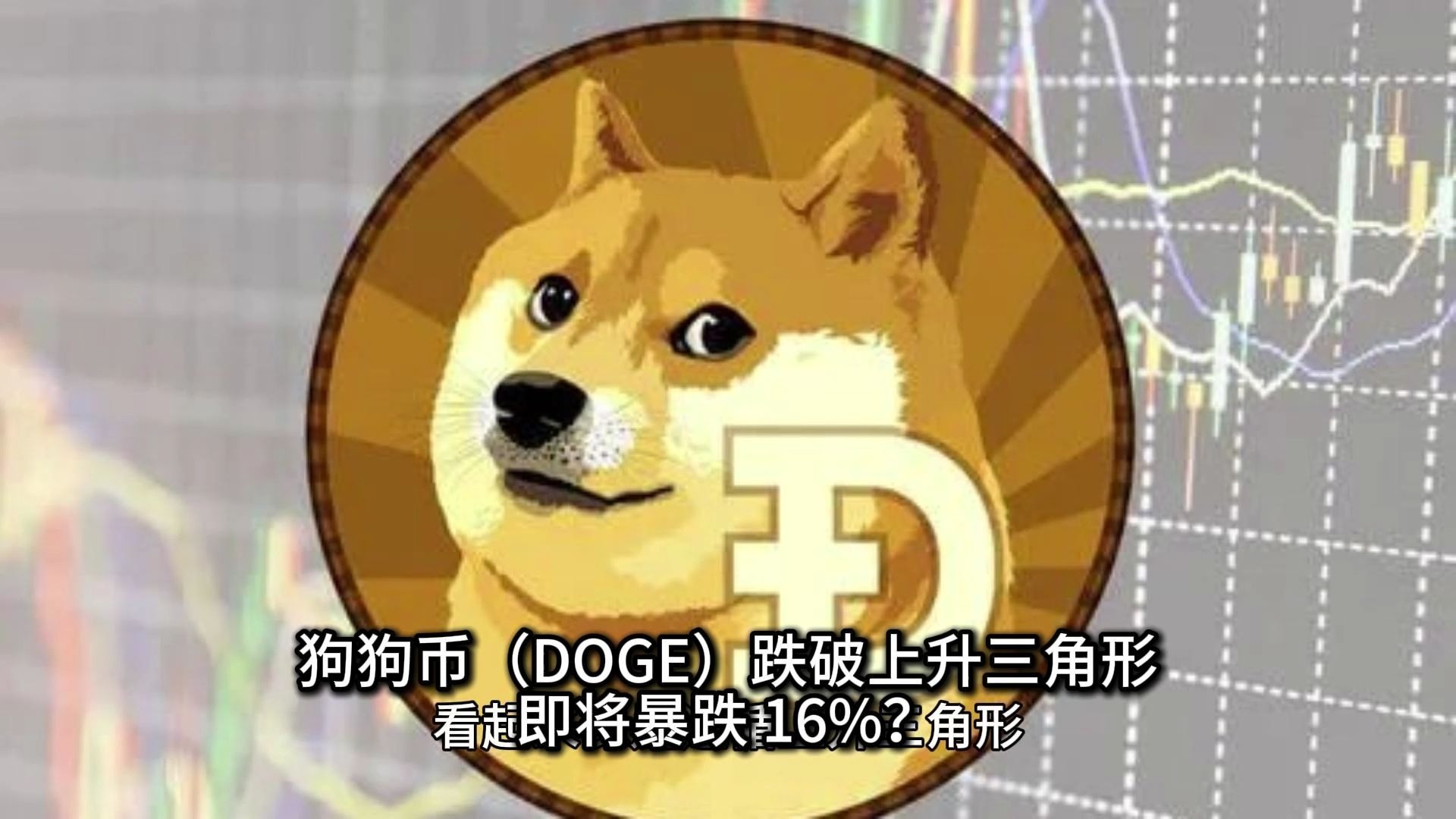 狗狗币创下年内新高，上扬幅高达XRP%，还能追吗？